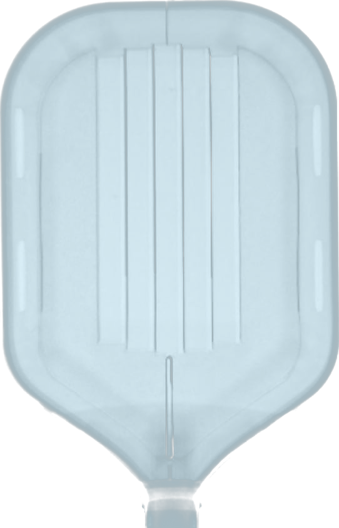 X-ray of the paddle core
